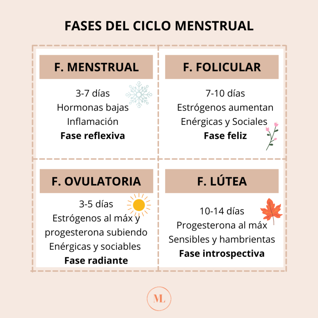 fases del ciclo menstrual
